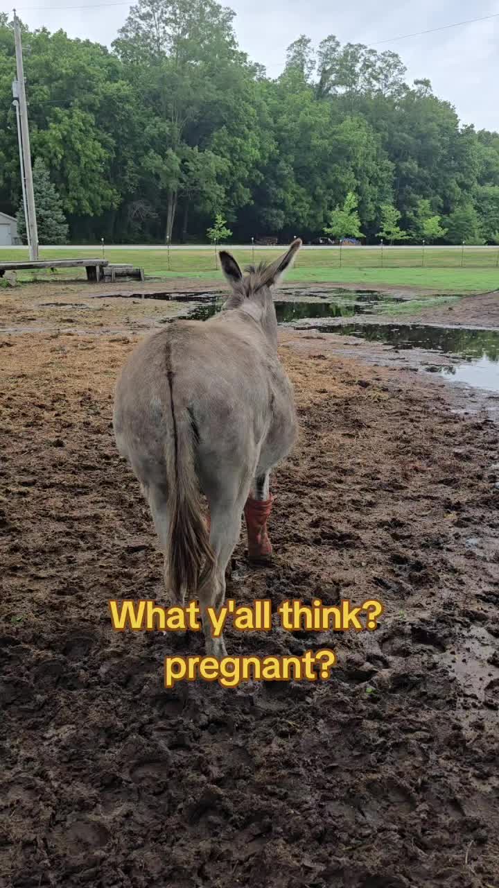 @Small Town Farm LLC