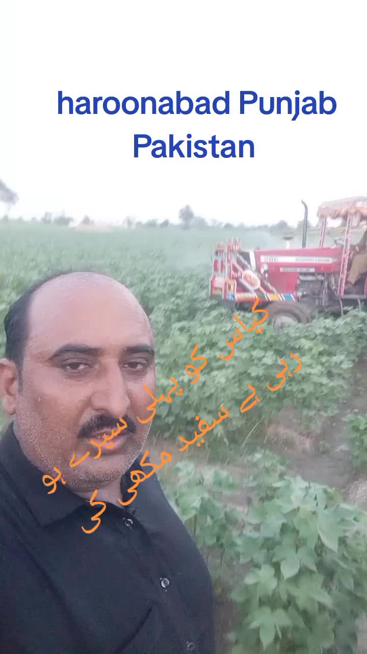 @ARAIN SHEHZADA 440