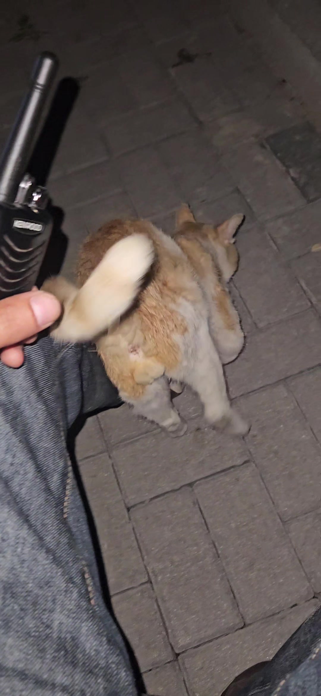 @𝒩𝒶𝓉𝒾𝓆.𝟶𝟹𝟿