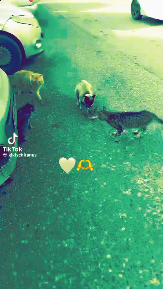 @عبدقا عبدقا