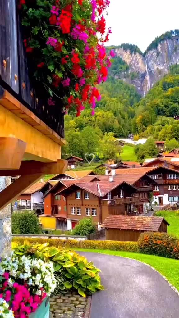 @kidst የኪዳነምህረት ልጅ ❤️🙏🦋🦋🦋🦋