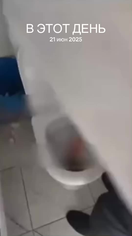 @Семен про 2018