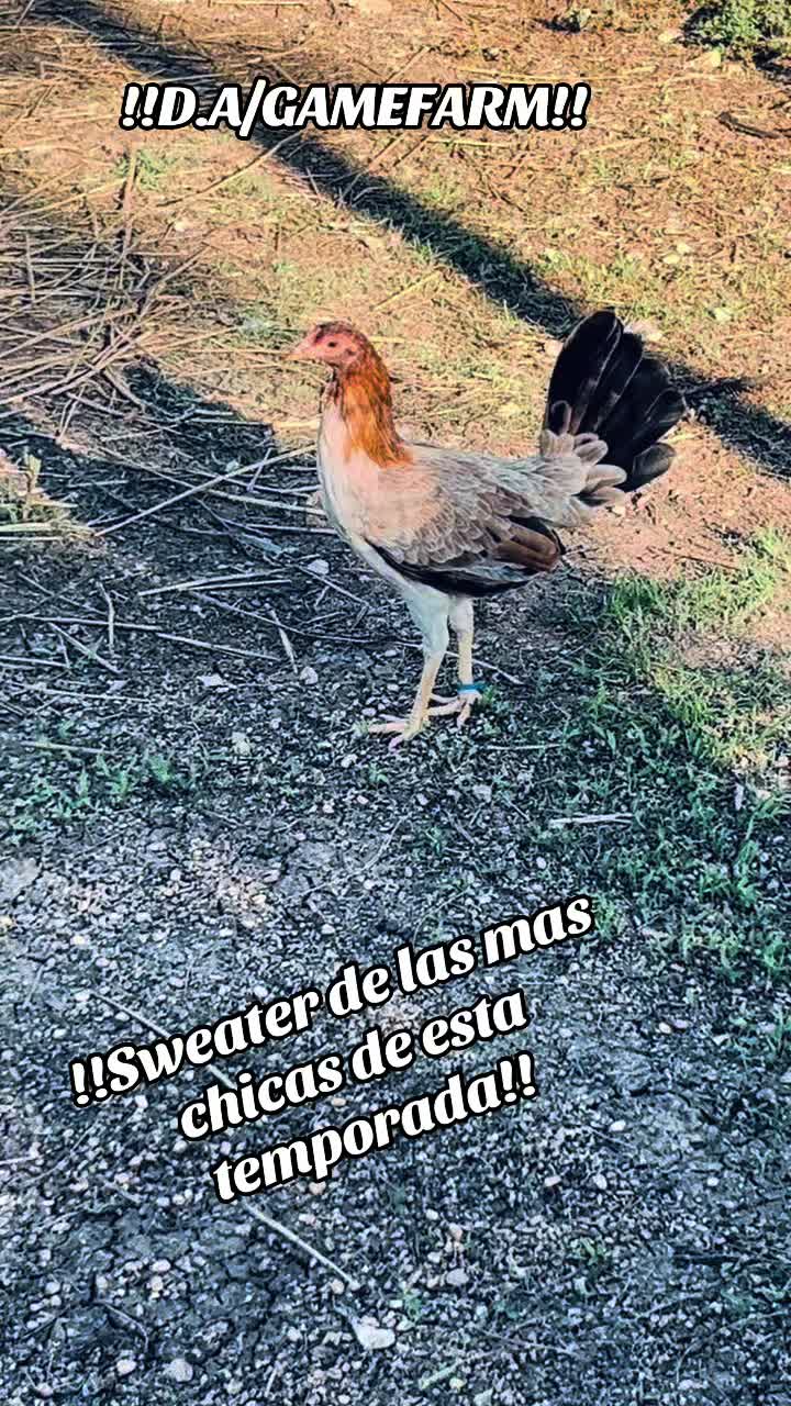 @DAgamefarm