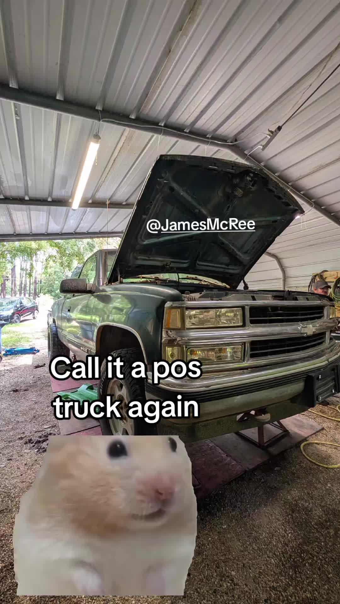 @wiredsquirrel13