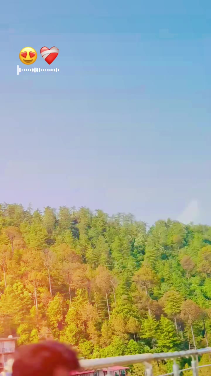 @waqasNiazi007