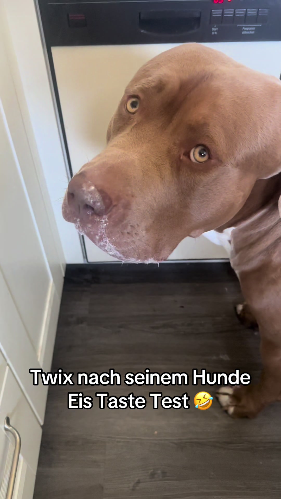 @𝐀𝐋𝐈𝐍𝐀.
