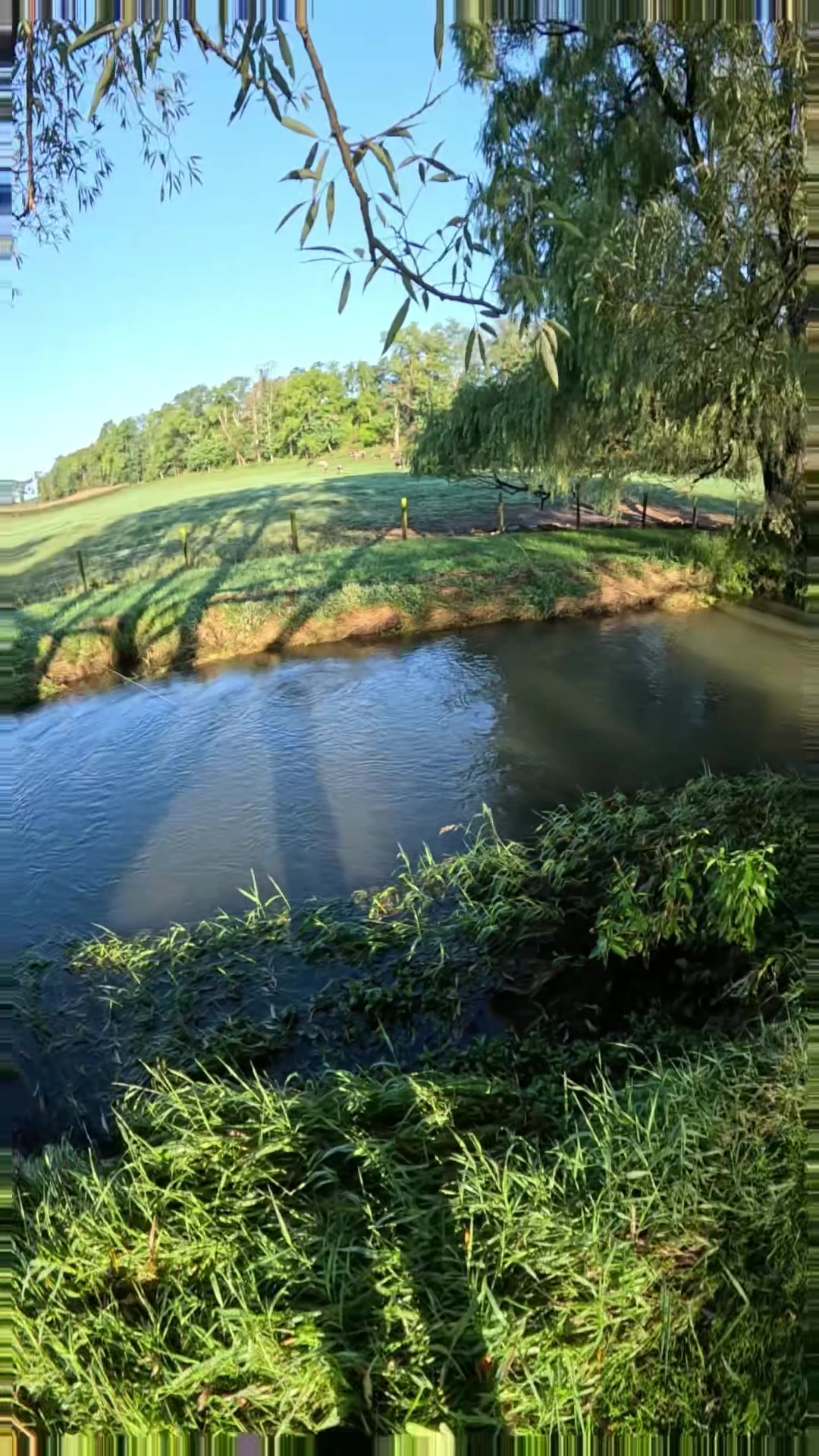 @FlyFishDelawhere