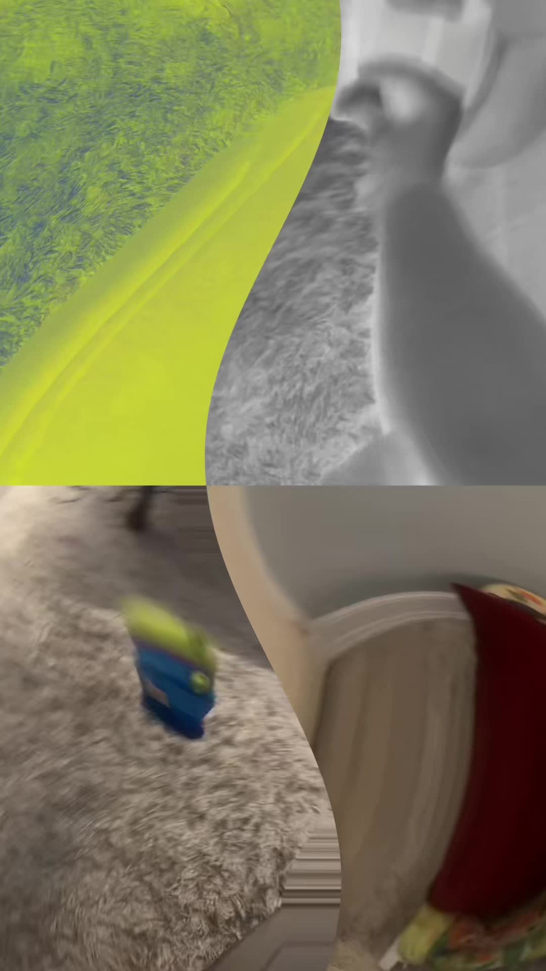 @joeysavage3001