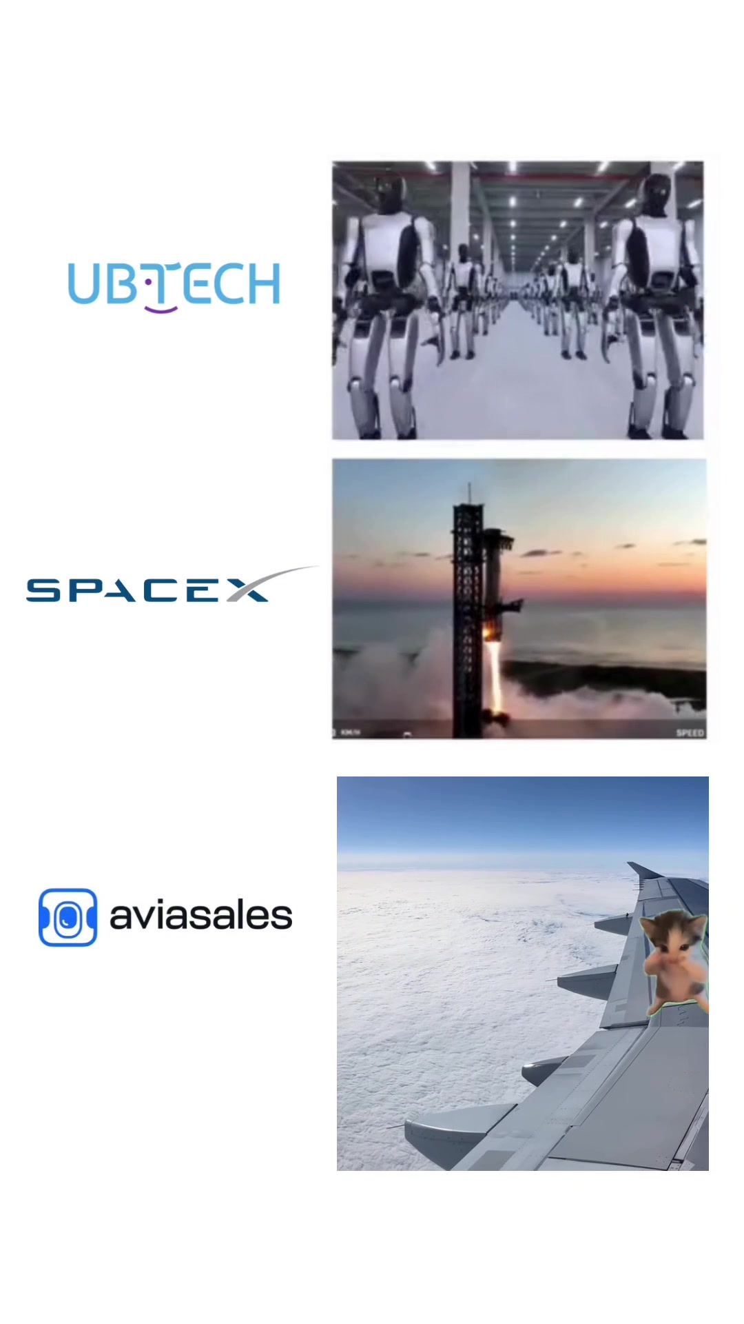 @Aviasales Беларусь