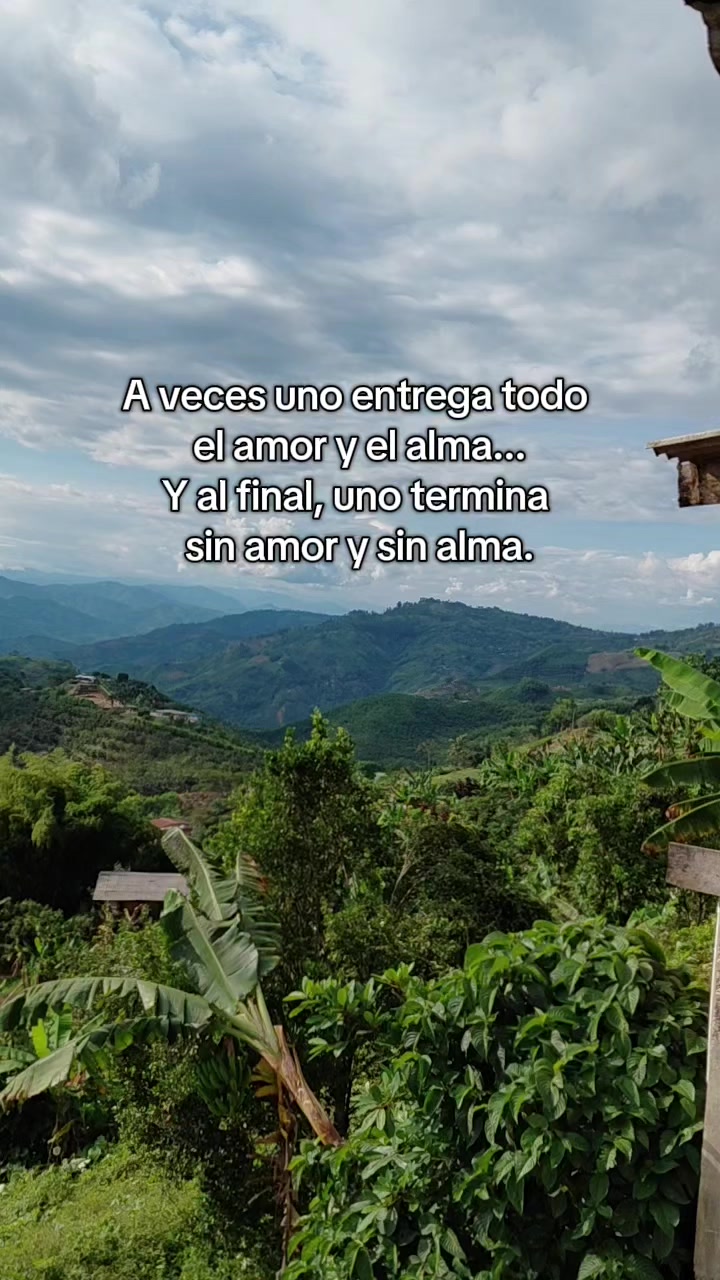 @Ander Herrera