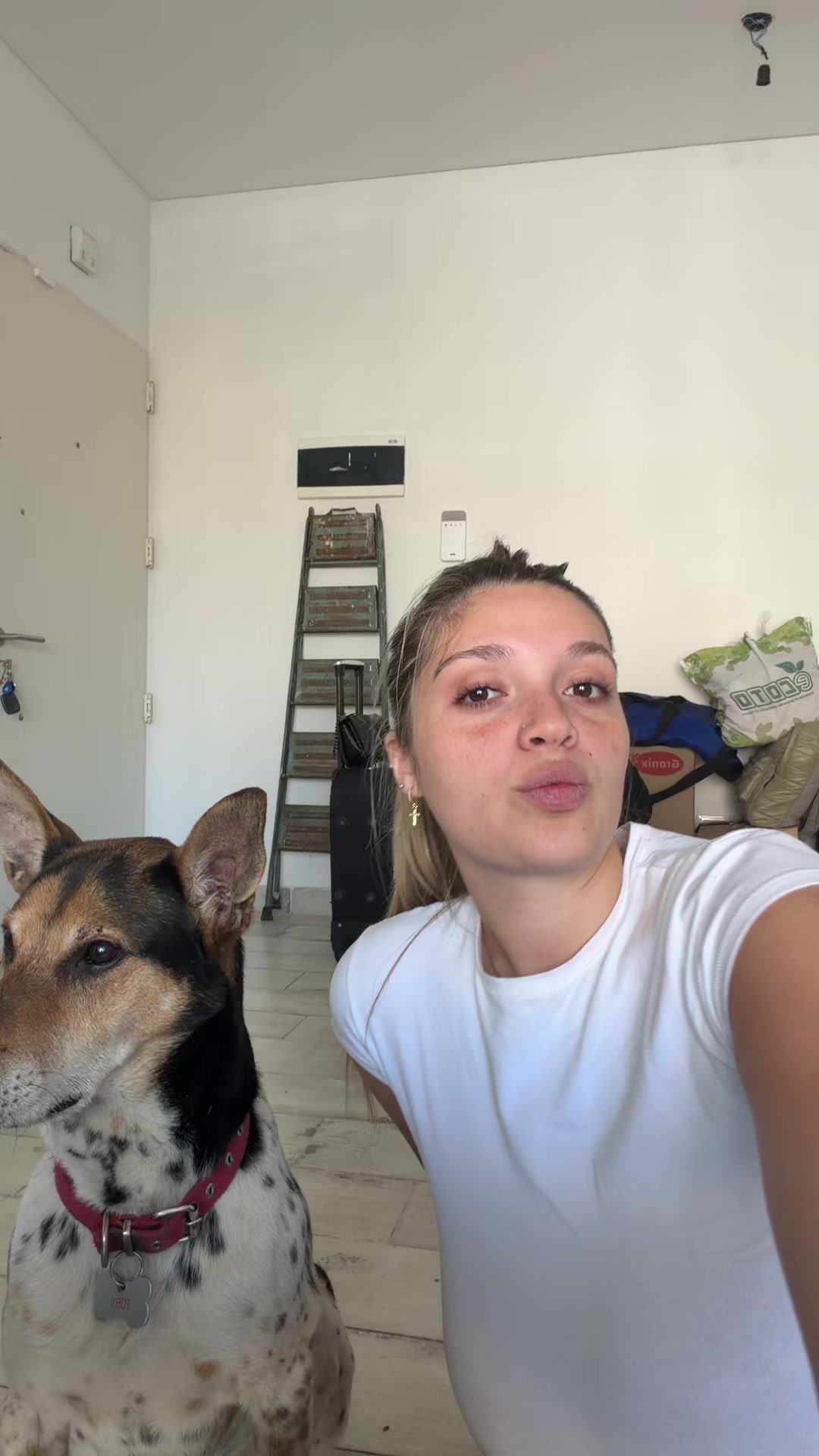 @delfysele