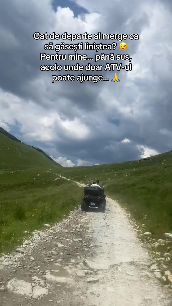 @Alexandru Vochitoiu
