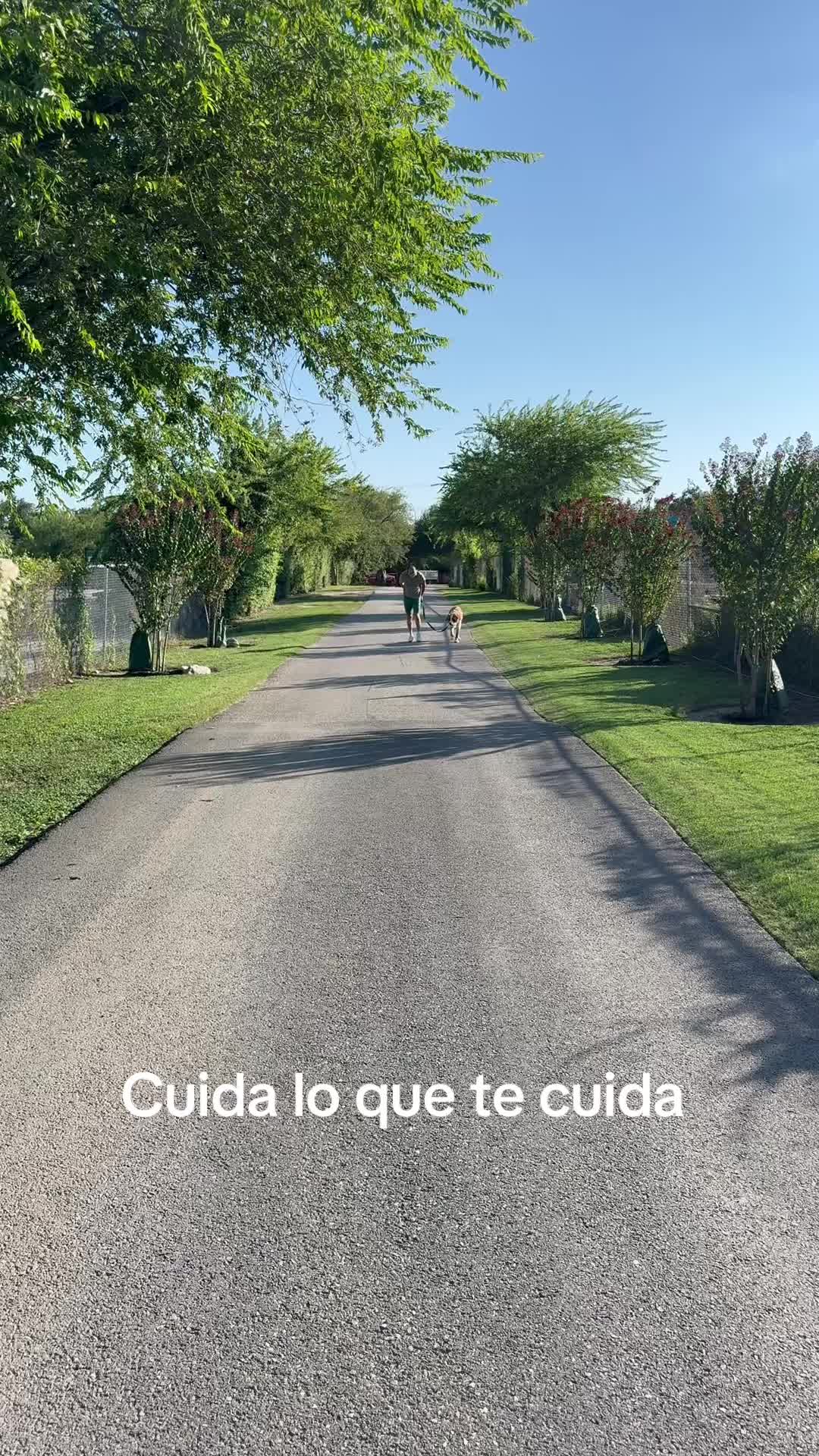 @Roy Maldonado