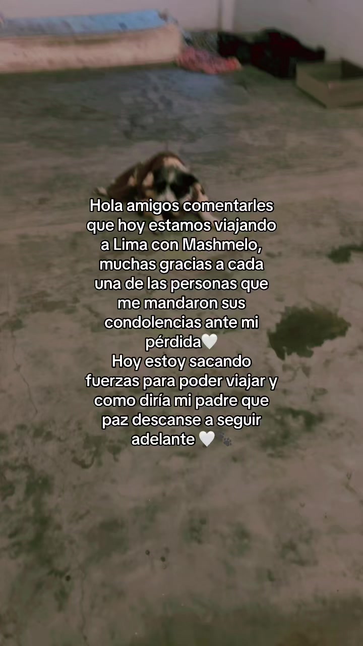 @Cómplices al rescate_11🐾