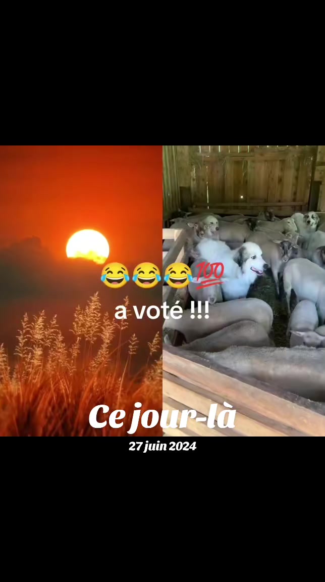 @Râ 🔆🦅♀️