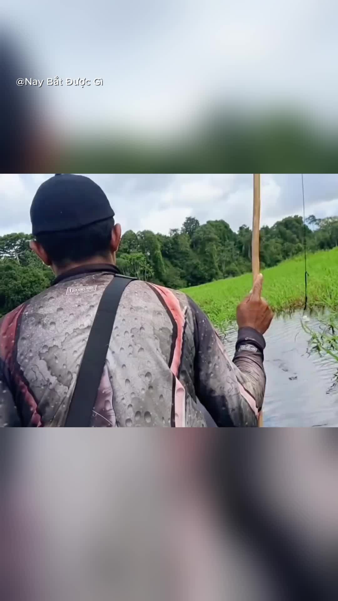 @Nay Bắt Được G&igrave;