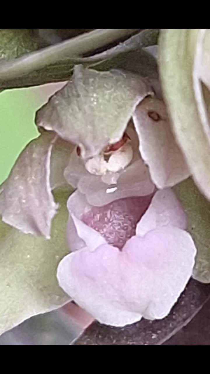 @Natur und Garten