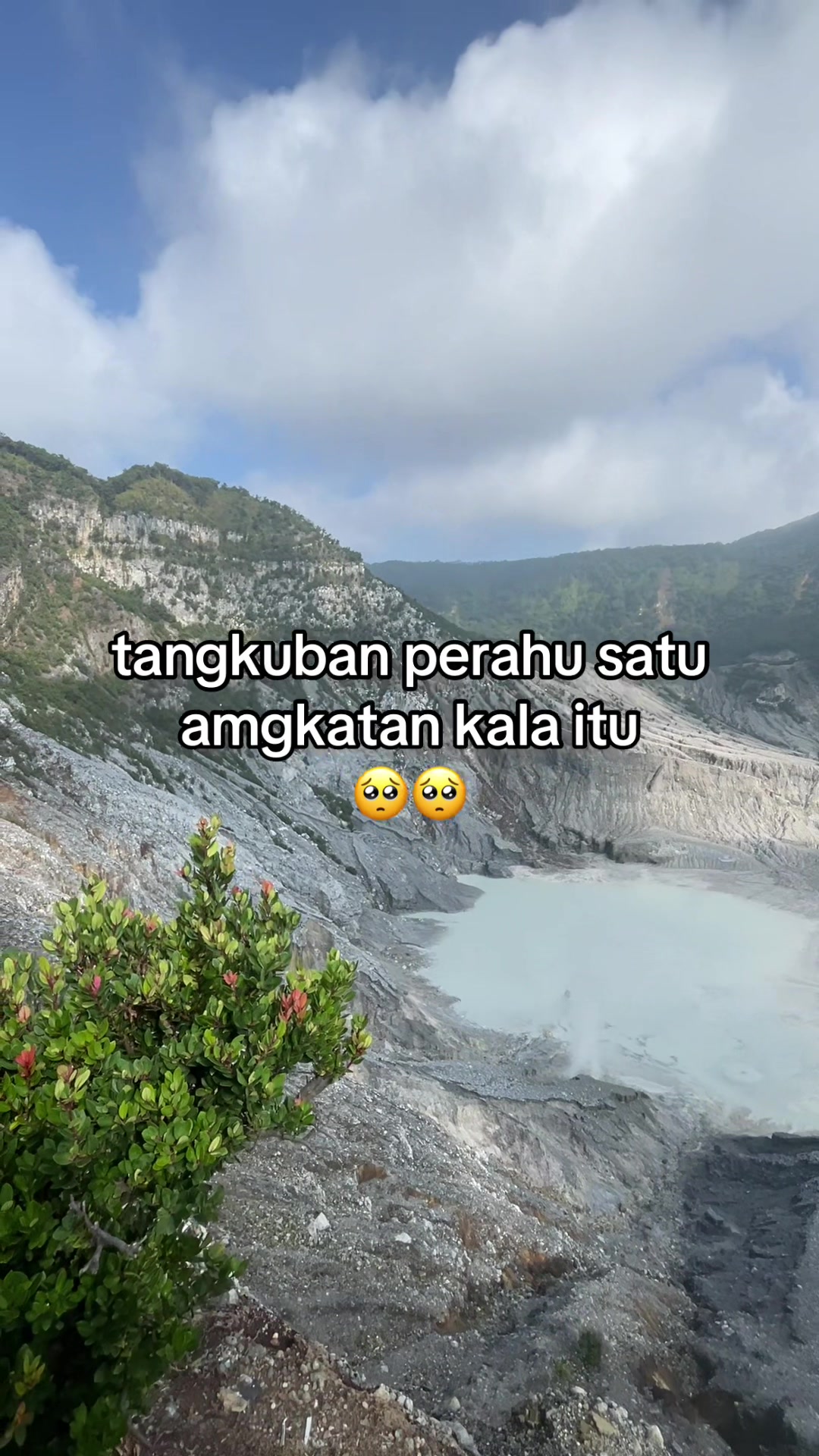 @diss