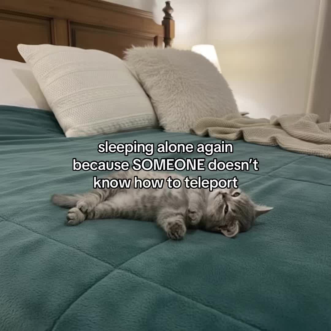 @Alice.cattok