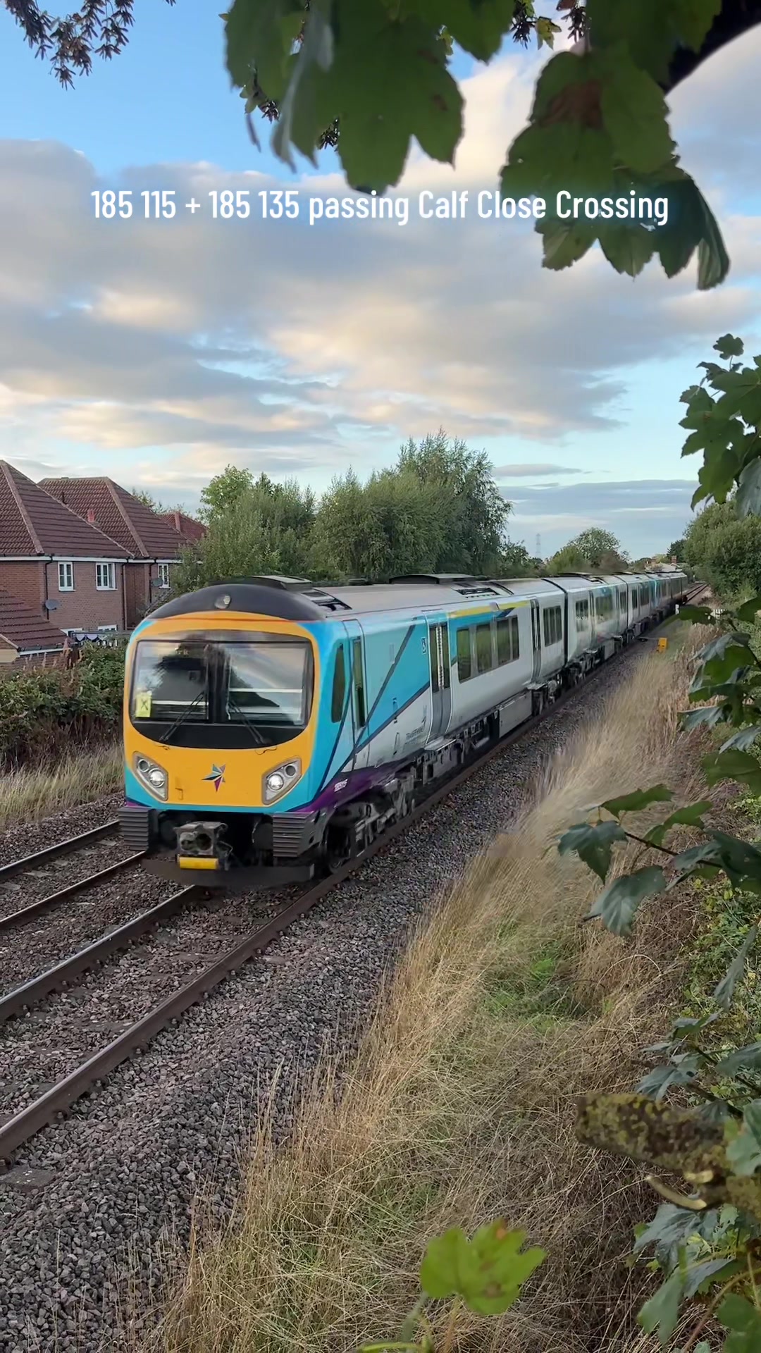 @The Duo of Train Lovers
