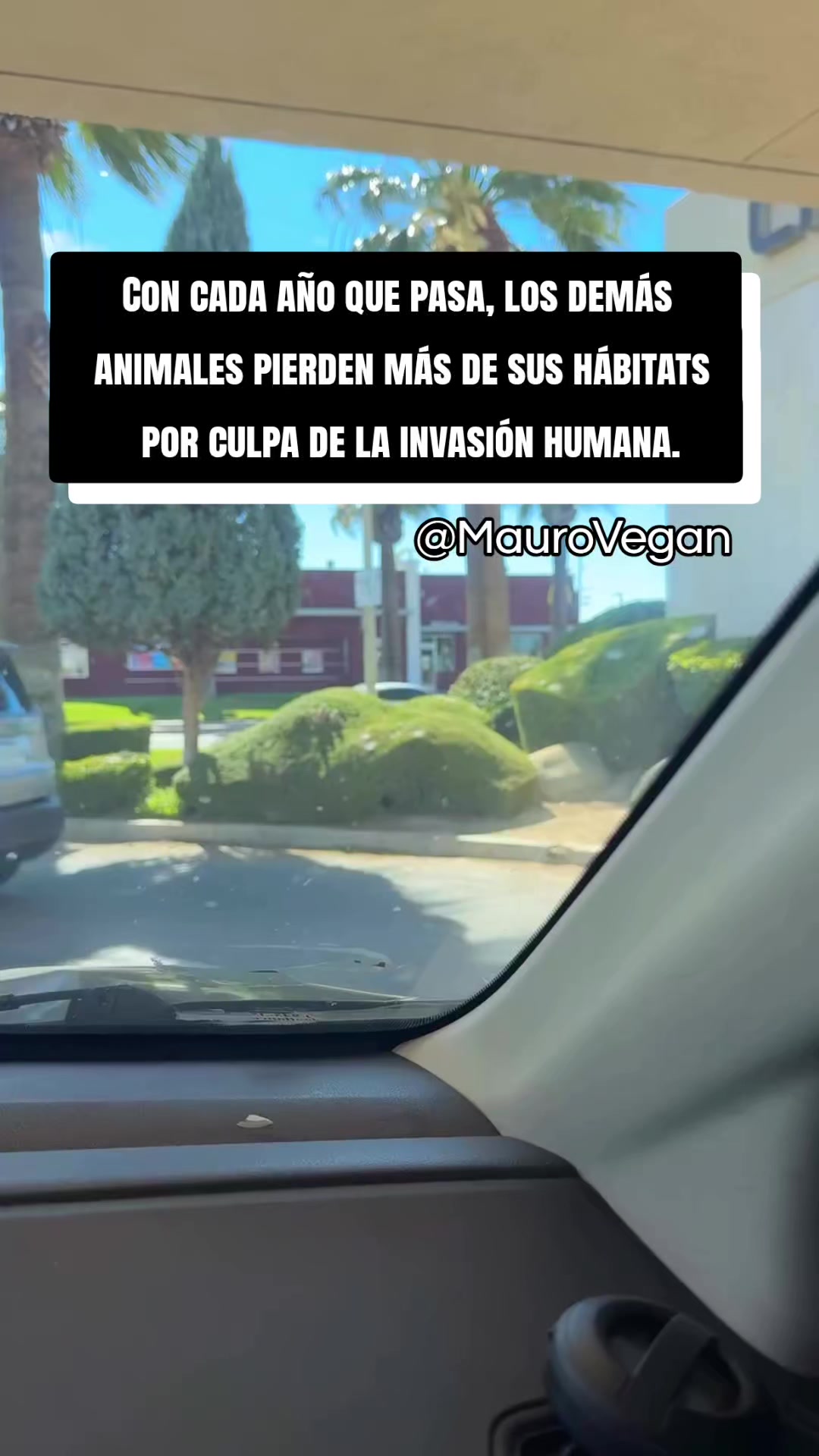 @Mauro Vegan🐑