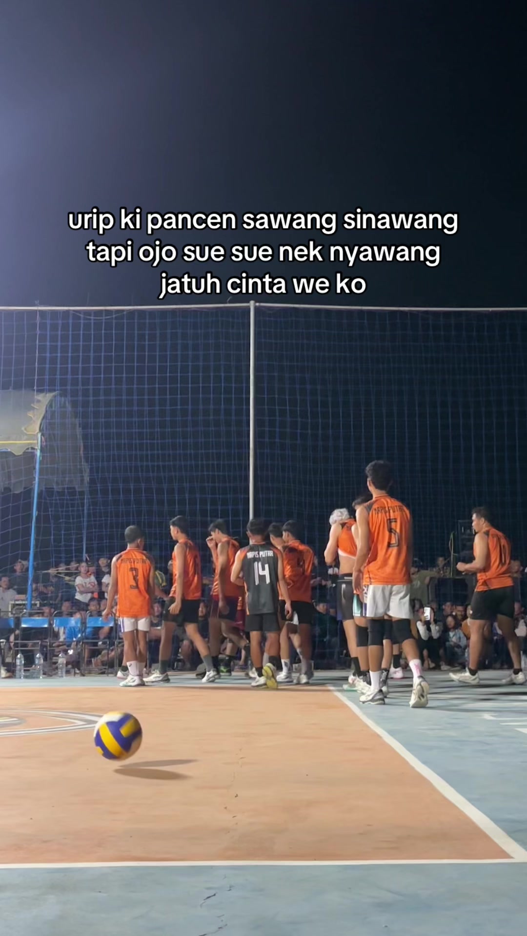 @napisvollyball