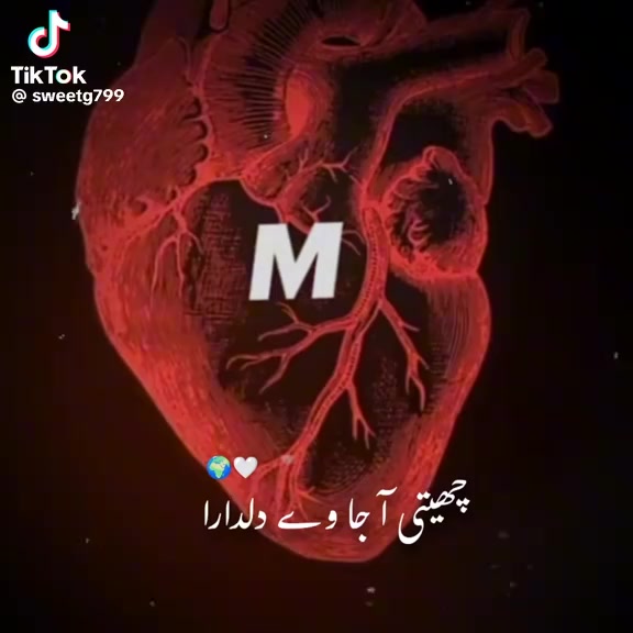 @laibarani