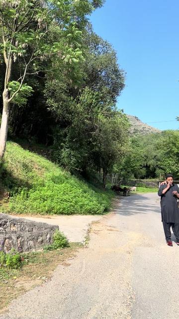 @izzat Hayyat Abbasi