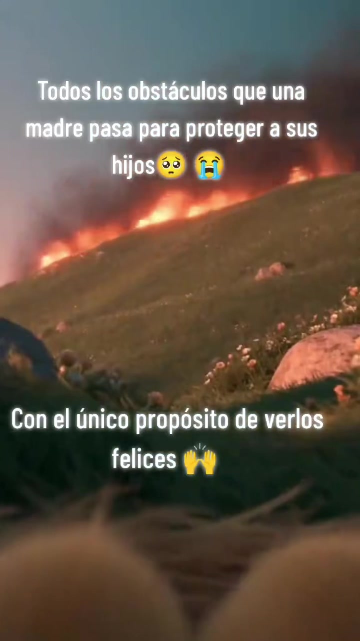 @Veronica Reyes