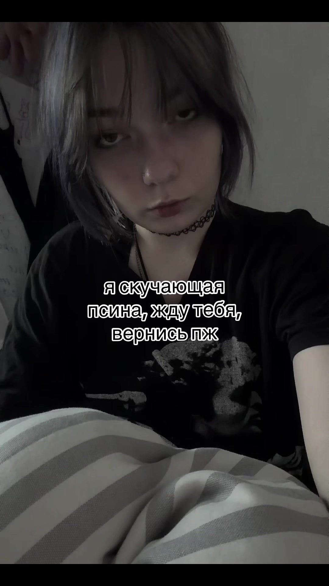 @swimming_cat