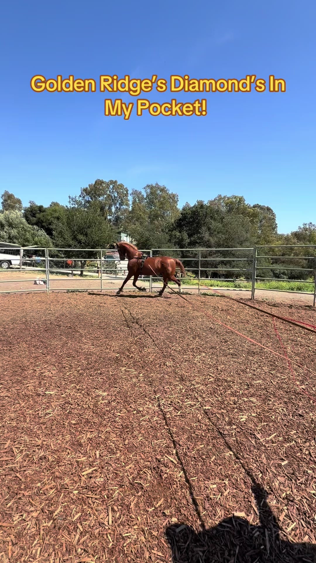 @BoeRanch14