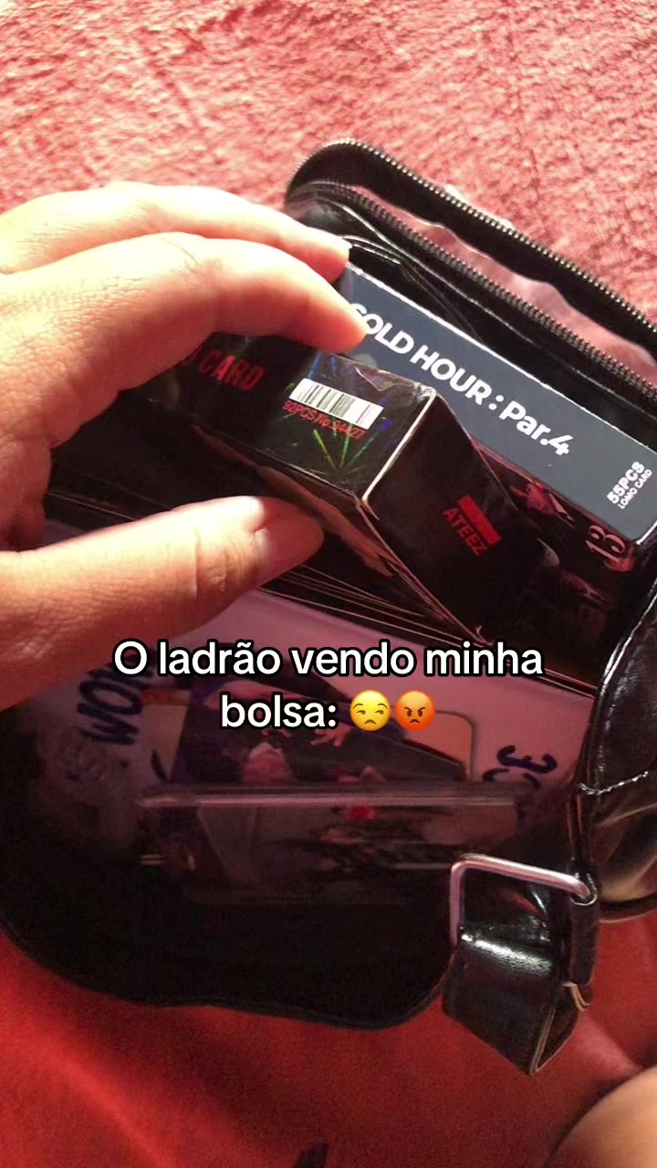 @🦝VIVIANNE FERREIRA🦝