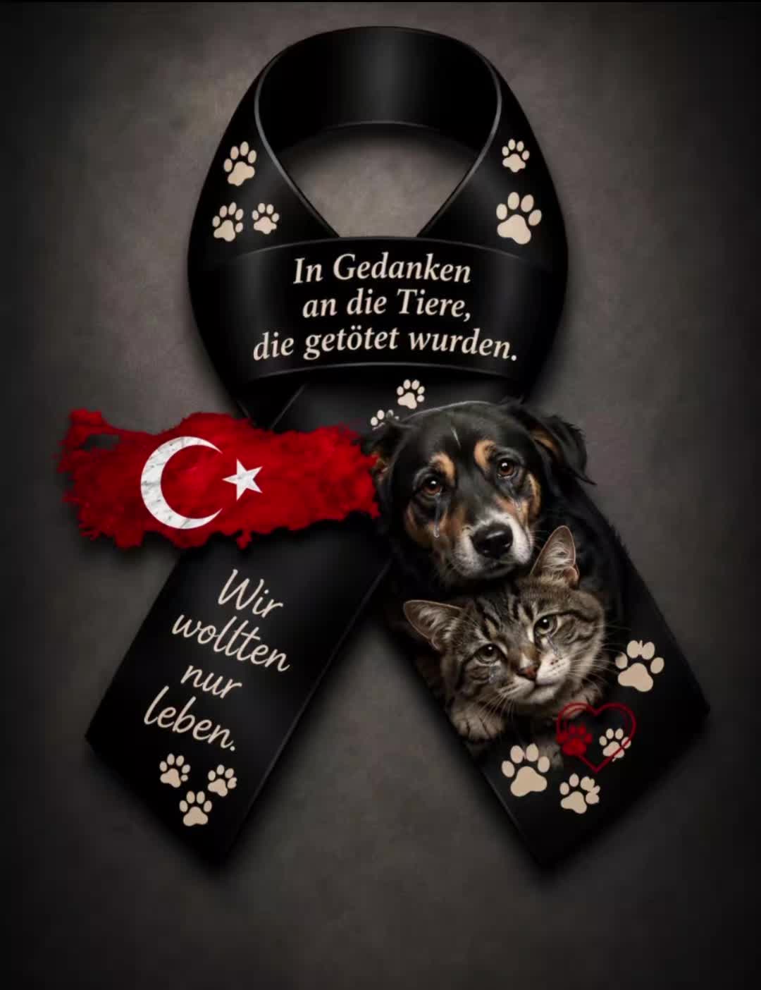 @☆☆☆ ¥eşim ☆☆☆