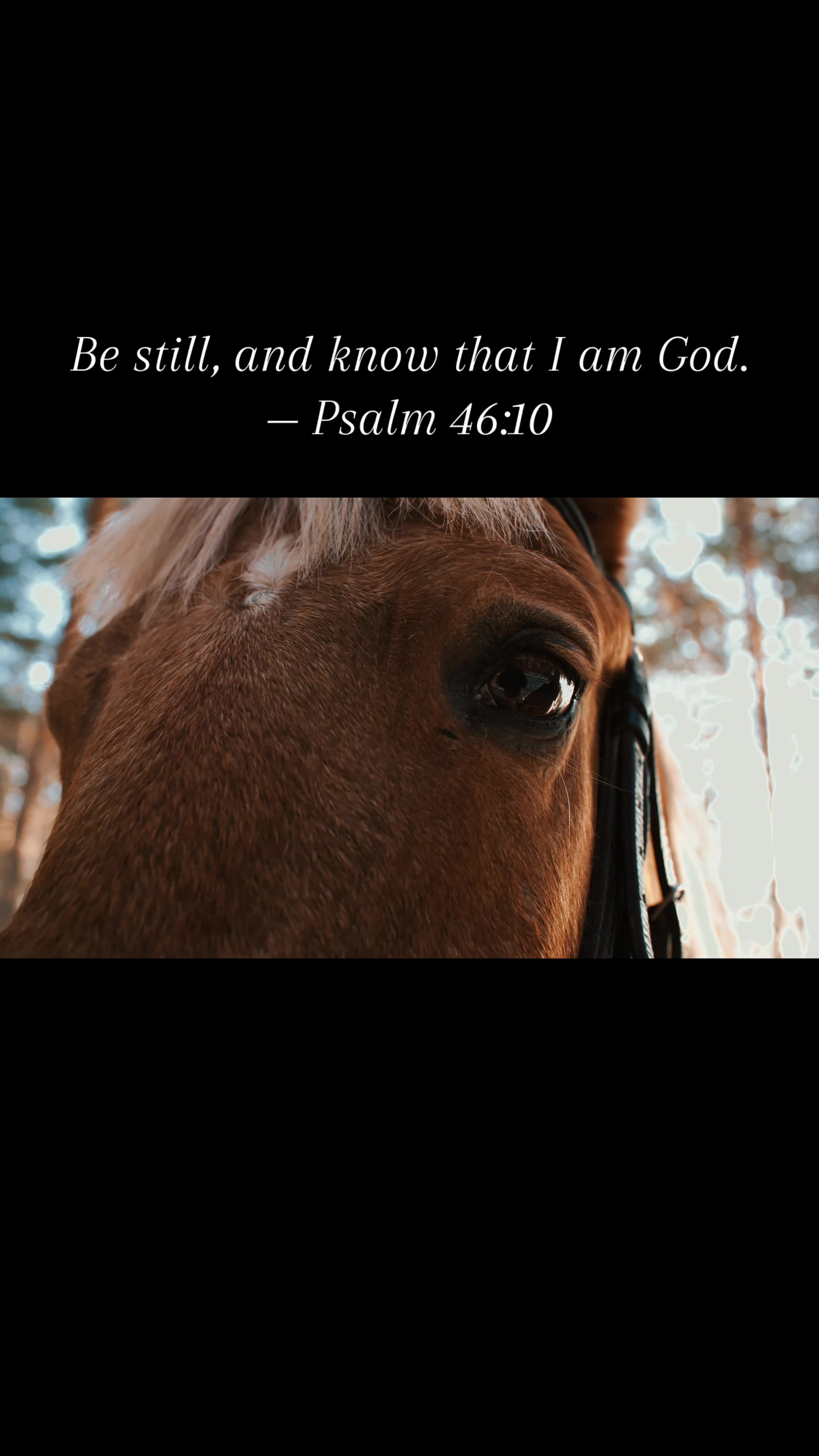 @PrairieFaith