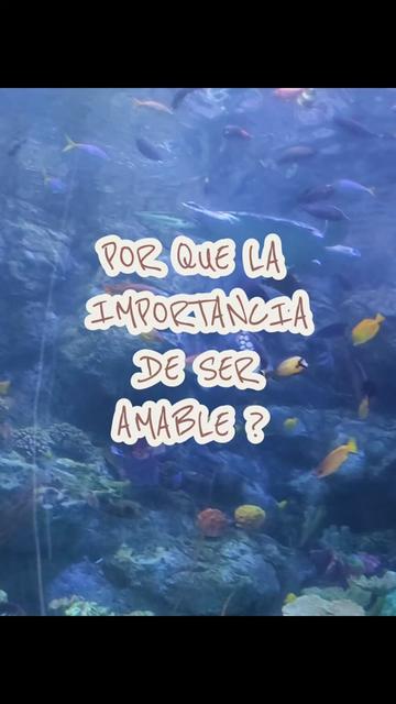 @🪸latinablogger