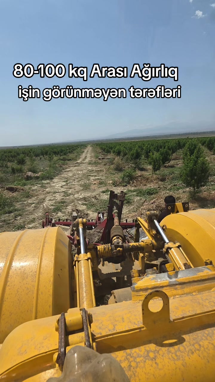 @azer313