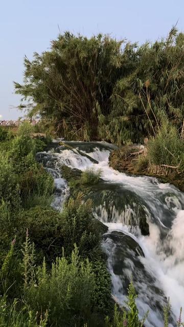 @🦋🦋🦋🦋🦋🦋🦋🦋