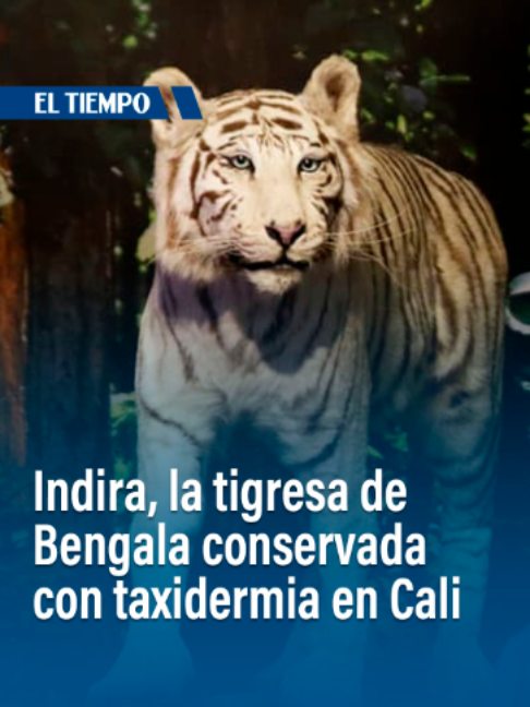 @EL TIEMPO