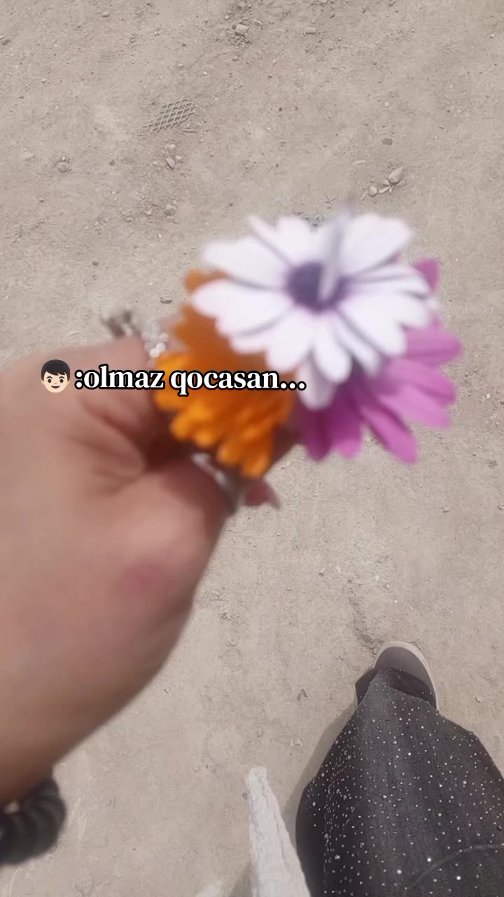 @🇬 🇺 🇳 🇦 🇾 🇽 🇩