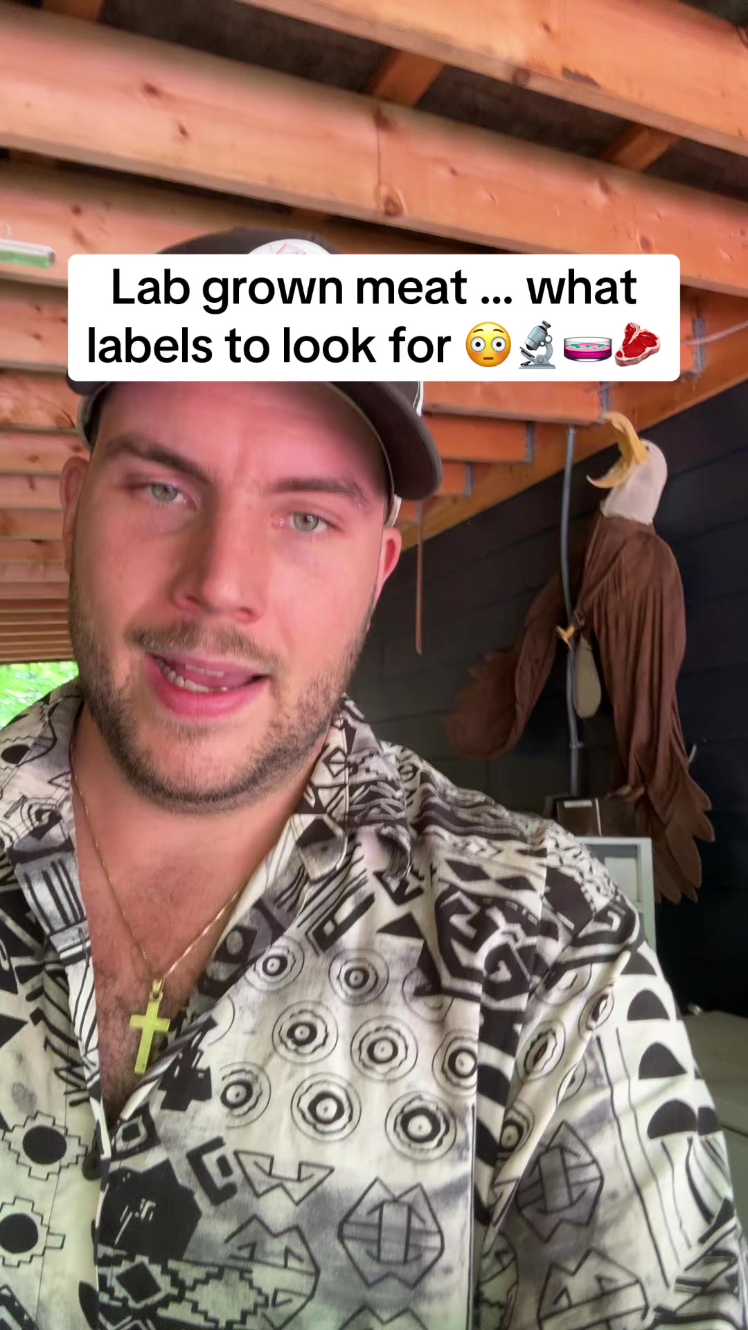 @Shayne Vibes Truth