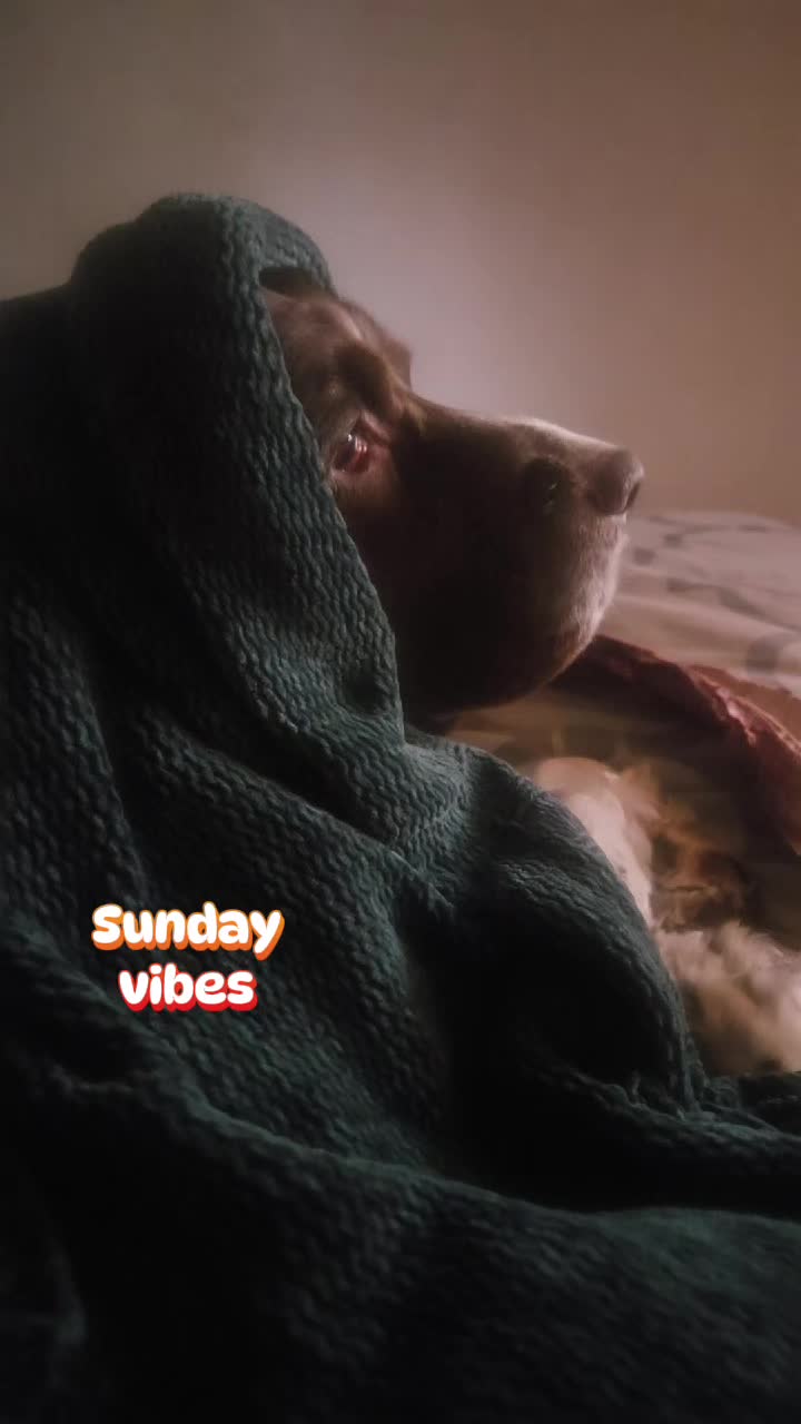 @Bugsy Oliver and his mama Lee