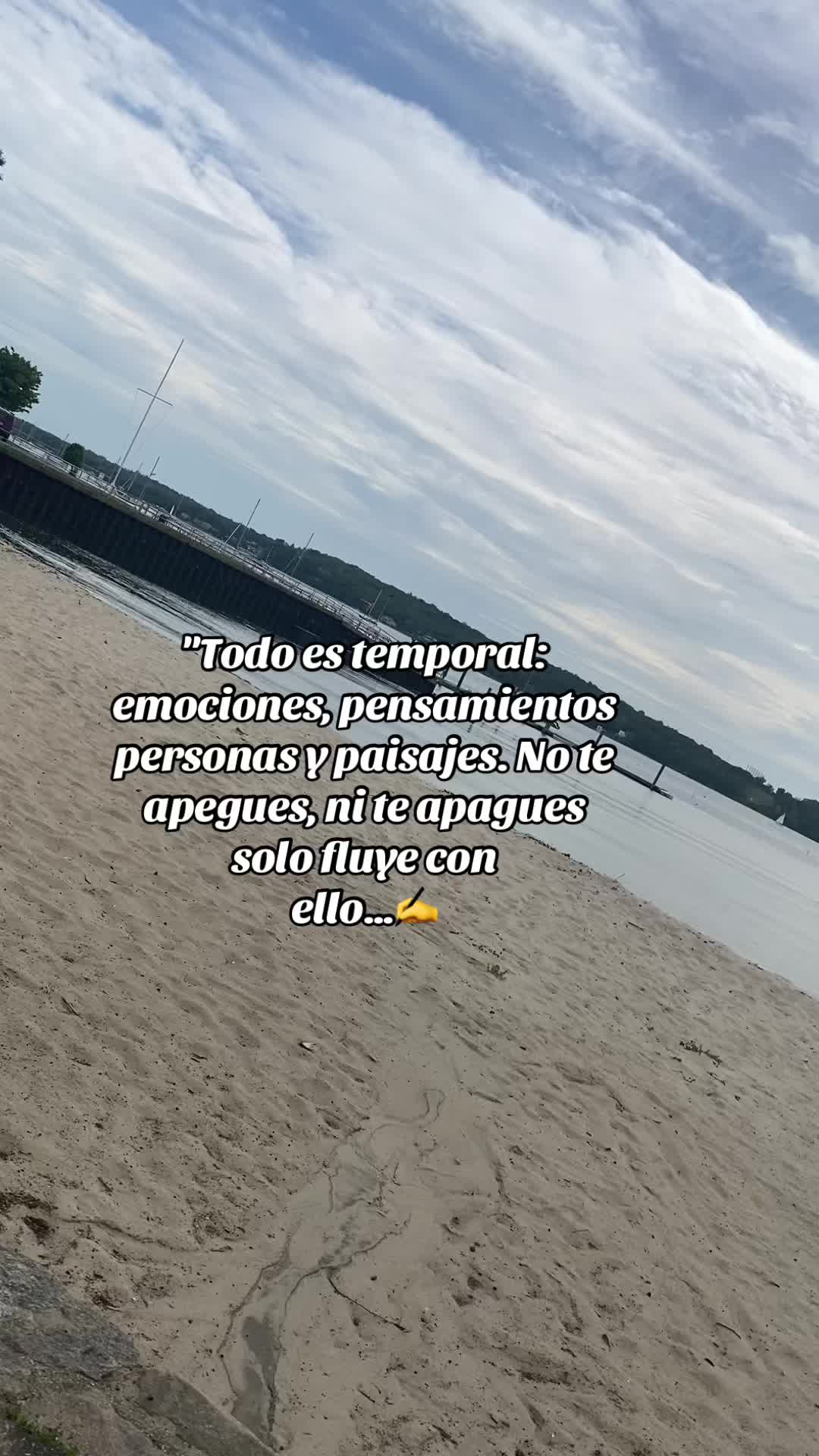 @💛Bonita_Girasol91