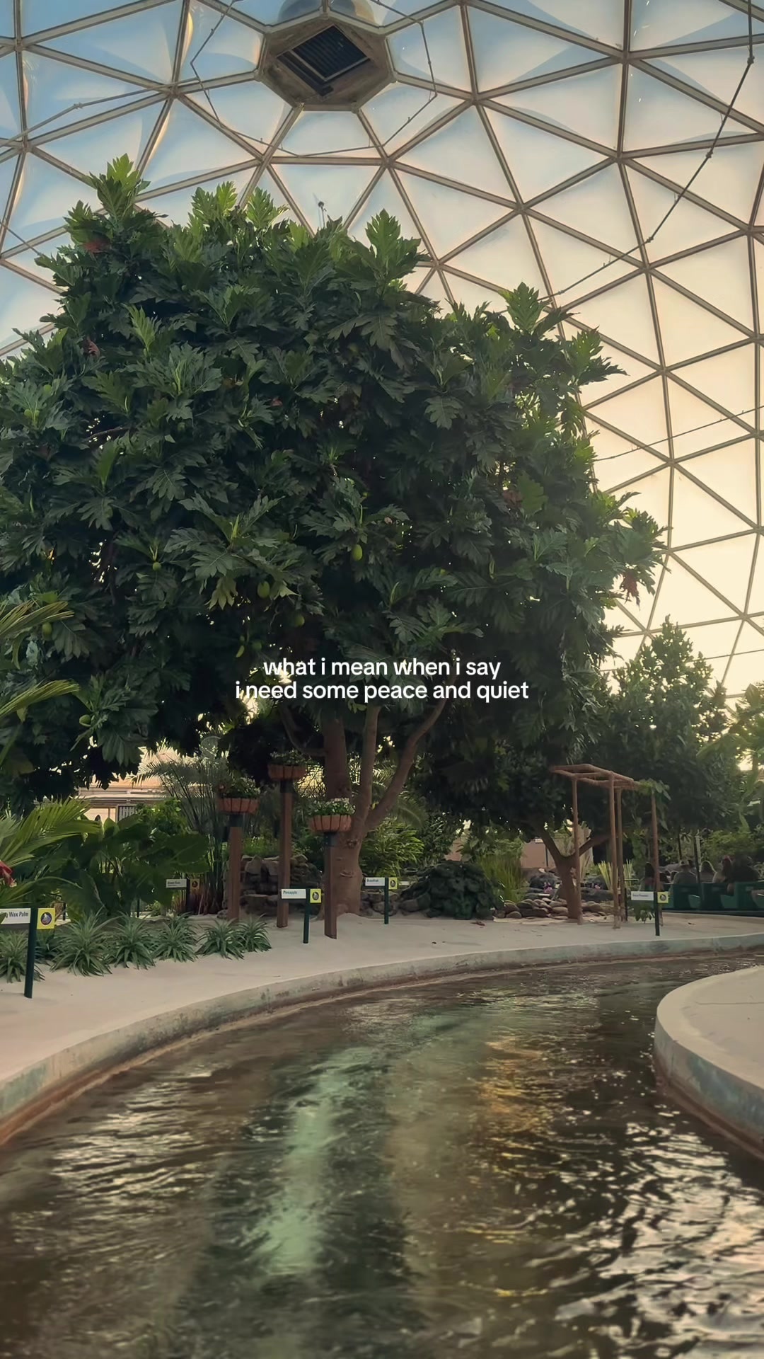@erin ✨
