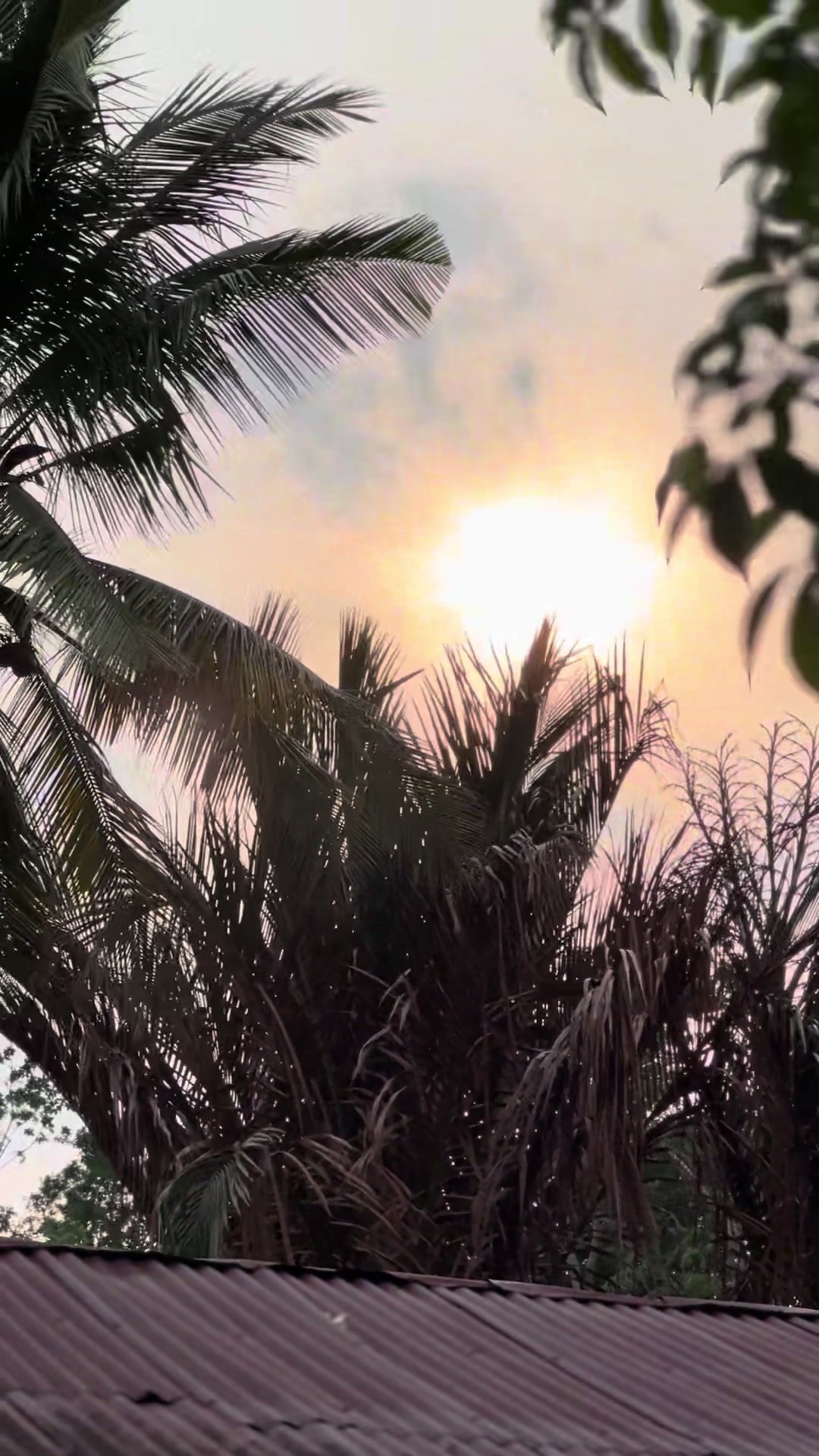 @𝐓𝐄𝐄𝐊𝐀𝐇