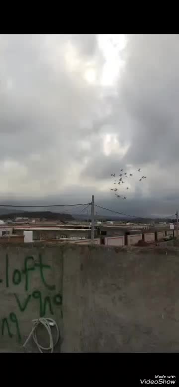 @ba3et7989