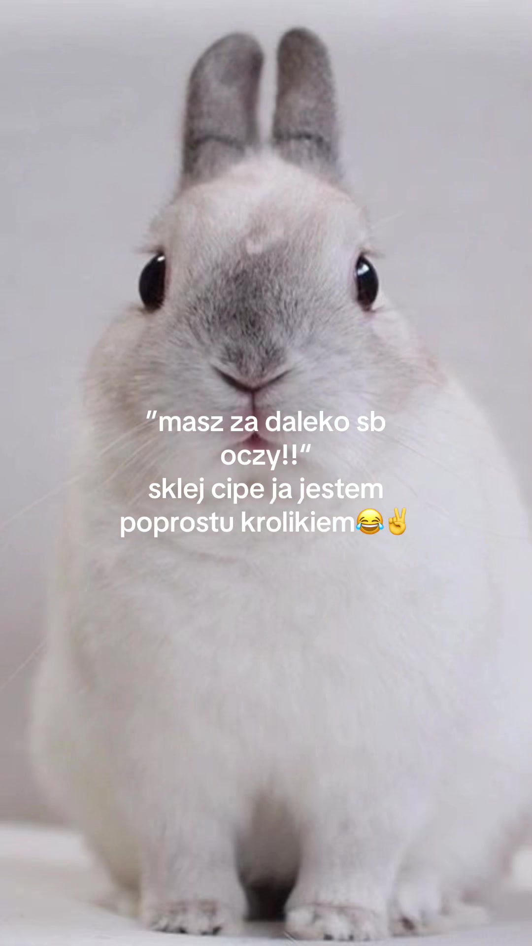 @malinkakrulik