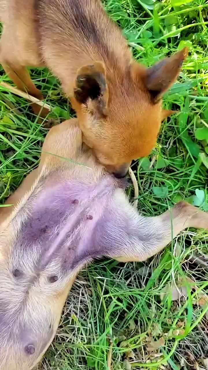 @ehehdhdhd