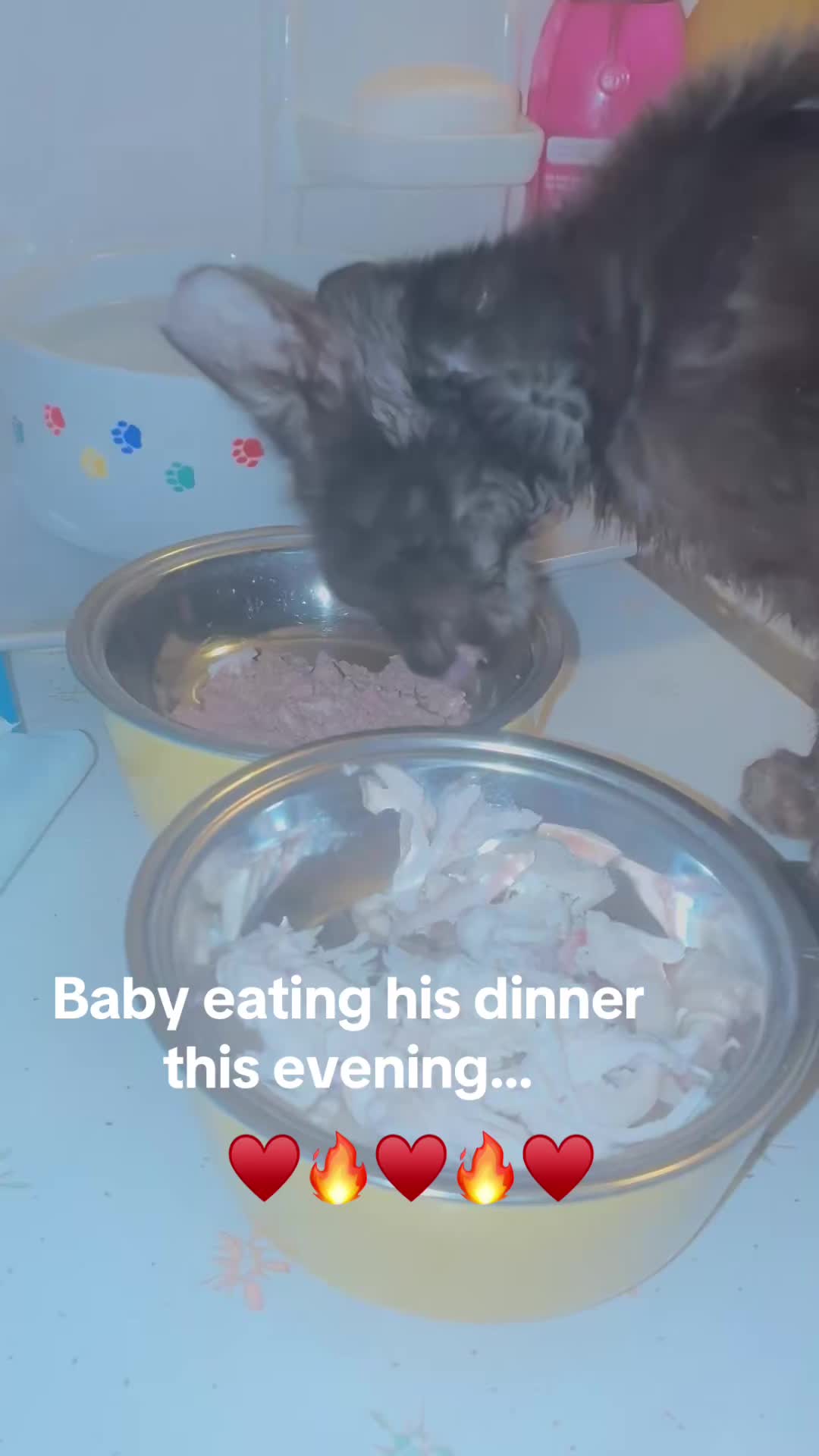 @OldLady/StillTNRing