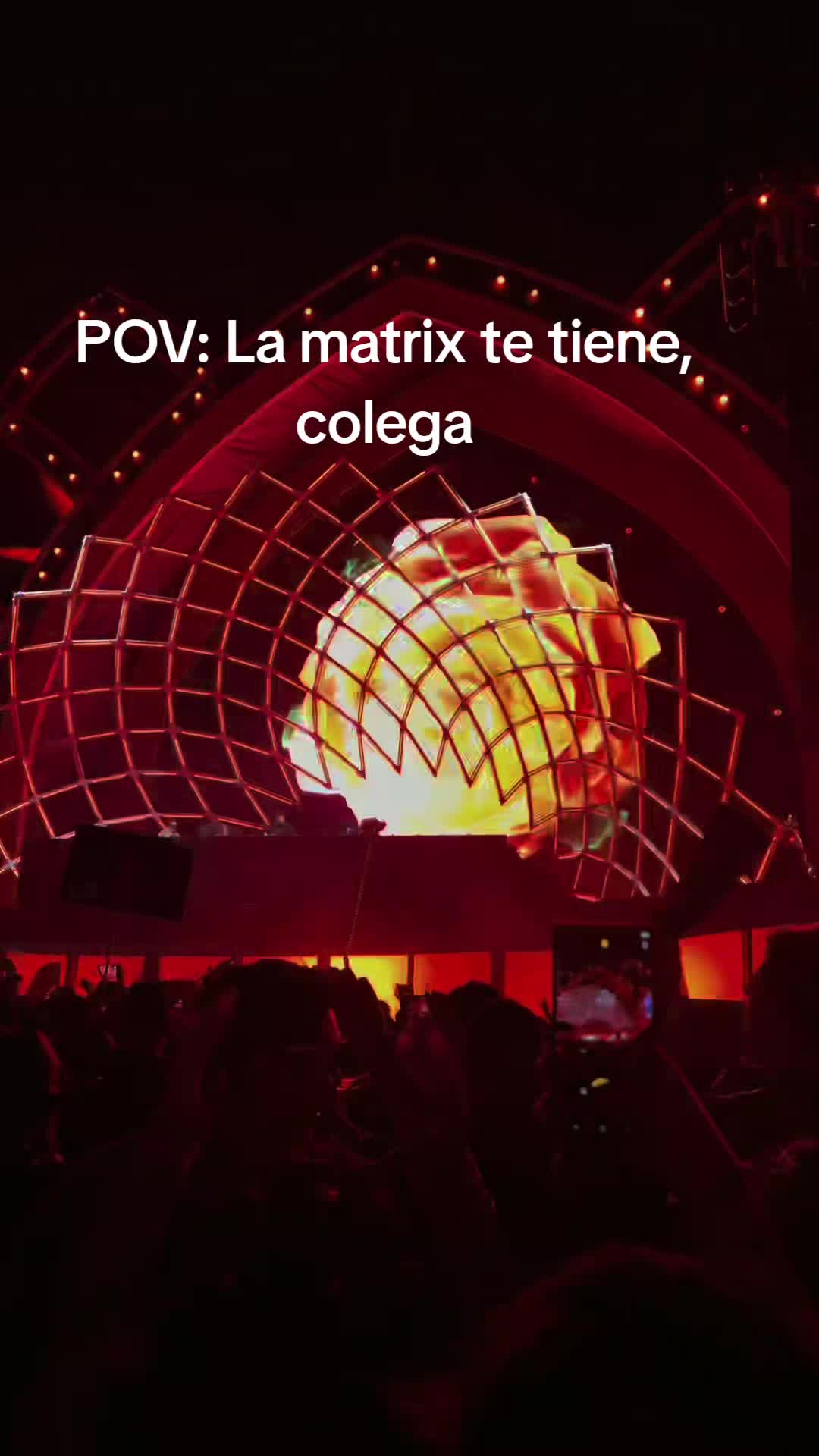 @fogel