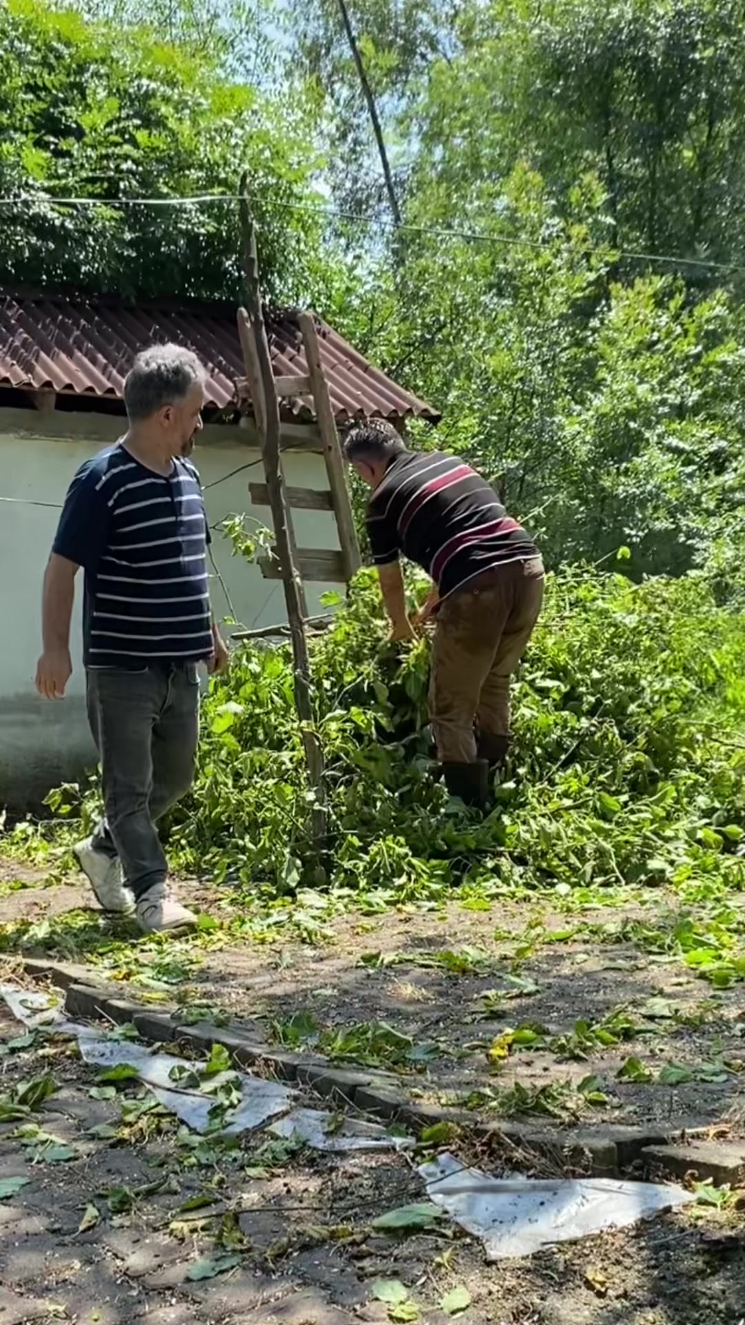 @Tuncer Akg&uuml;l